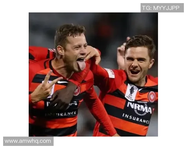 麦克阿瑟与悉尼FC历届交锋比分回顾与分析