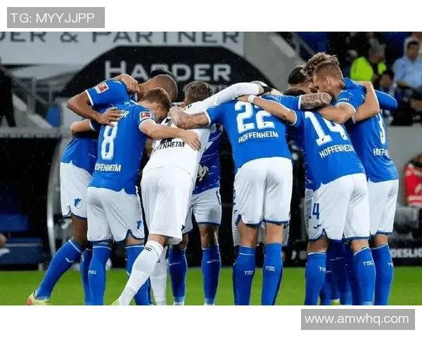 云达不来梅对阵霍芬海姆精彩直播全程回顾与赛后分析