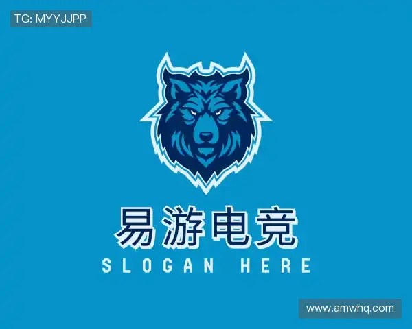 介绍易游电竞